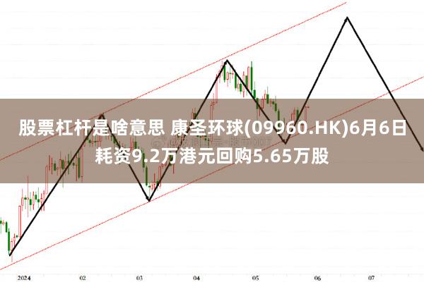 股票杠杆是啥意思 康圣环球(09960.HK)6月6日耗资9.2万港元回购5.65万股