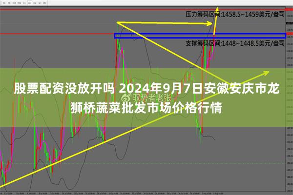 股票配资没放开吗 2024年9月7日安徽安庆市龙狮桥蔬菜批发市场价格行情