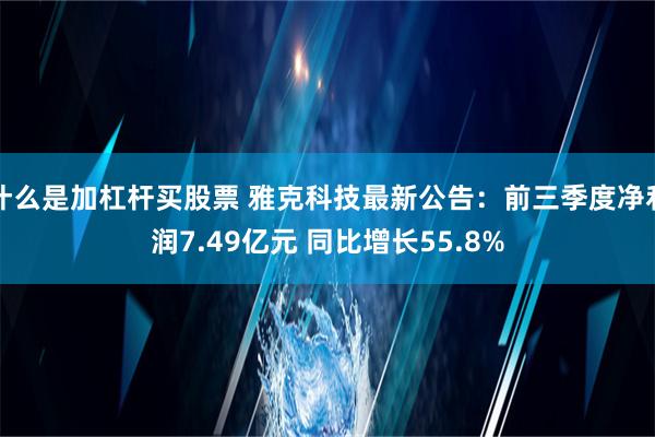 什么是加杠杆买股票 雅克科技最新公告：前三季度净利润7.49亿元 同比增长55.8%