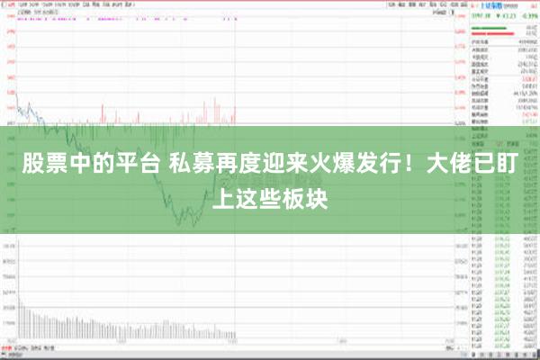 股票中的平台 私募再度迎来火爆发行！大佬已盯上这些板块